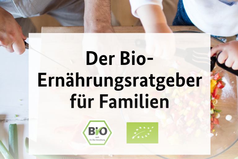 Barrierefreier Elternratgeber