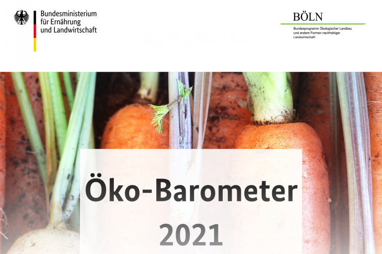 Informationsdesign: Öko-Barometer (PDF/UA)